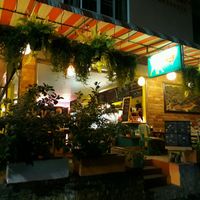 Outside at Cat House in Chiang Mai