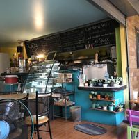 counter  at Cat House in Chiang Mai