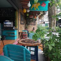 Cat House 🐈🏡 at Cat House in Chiang Mai