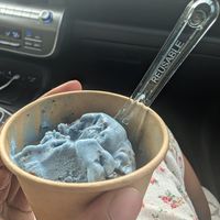 Cookie Monster (5/5). Hands down the best vegan ice cream and ice cream flavor I've had. at V Gelato in Miami