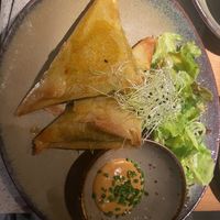   at Verdō in Brussels