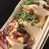   at ChagaRoot in Las Vegas