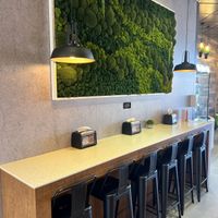   at ChagaRoot in Las Vegas