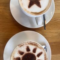   at Koffee & Kale in Dublin