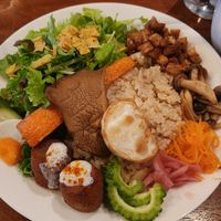 Falafel plate at South Point in Yokohama