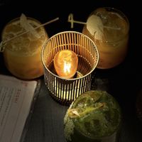 Mezcal me maybe (ginger) drinks and herb your enthusiasm tequila cocktail (🌶️ )  at Planta Queen in Chicago