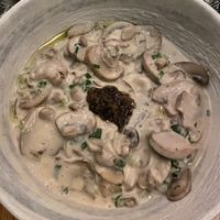 Udon noodles (like a mushroom stroganoff)  at Planta Queen in Chicago