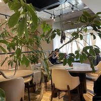   at Cafe Tarot - カフェタロ in Tokyo