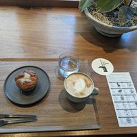 Lemon Muffin with Soy Latte & Tarot at Cafe Tarot - カフェタロ in Tokyo