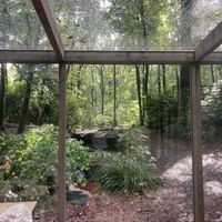   at Feathery Forest in Maarkedal