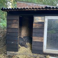   at Feathery Forest in Maarkedal