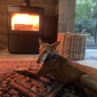   at Feathery Forest in Maarkedal