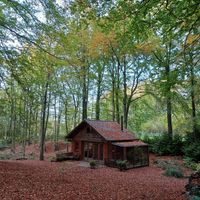  at Feathery Forest in Maarkedal
