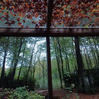  at Feathery Forest in Maarkedal