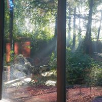 Gorgeous view from the cabin with large windows everywhere at Feathery Forest in Maarkedal