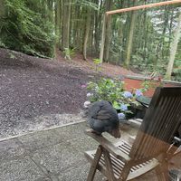   at Feathery Forest in Maarkedal