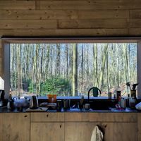 View from the kitchen at Feathery Forest in Maarkedal