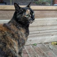  at Feathery Forest in Maarkedal