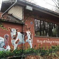   at Feathery Forest in Maarkedal