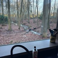  at Feathery Forest in Maarkedal