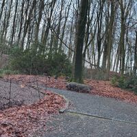  at Feathery Forest in Maarkedal