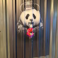 Inside the entryway   at Offbeat Donut Co in Cork