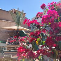  at Pikala Cafe in Marrakech