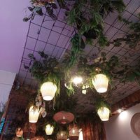  at Café Buur in Cologne