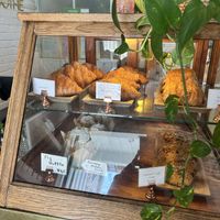   at Butcher's Daughter in West Hollywood