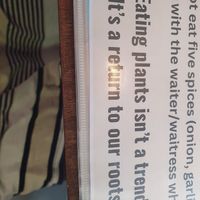  at Genkan Vegan Cafe in Dong Hoi