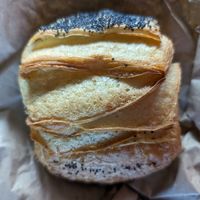 Saccottino at The Sanctuary in Berlin