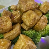   at Bodhi Village in Flushing