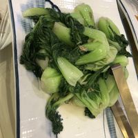 Bok choy   at Bodhi Village in Flushing