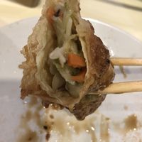 虎皮卷  at Bodhi Village in Flushing