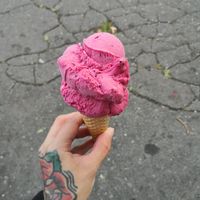 Pitaya at Lastovka in Maribor