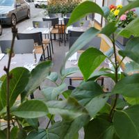 Sehr netter Gastgarten at Schlicht Vegan in Vienna
