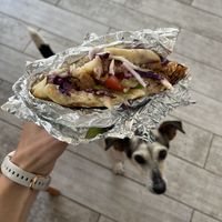   at Shambala in Zagreb