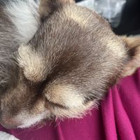   at Trail Life Brewing in Grand Junction