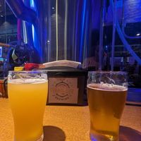 Dead Pet Series beer and a blonde at Trail Life Brewing in Grand Junction