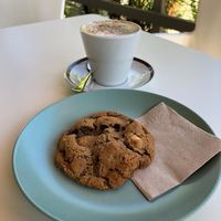 Cookie   at La Vida in Denia