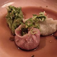 Momos of plant meat at NORI WAY in Milan