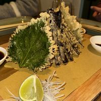   at NORI WAY in Milan