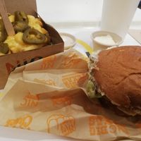 Nic Max & Chilli Gold Fries at NIC Veg Burger Restaurant in Stuttgart