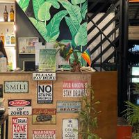 Lgbtq+ 🏳️‍🌈 friendly!!   at Hungry Monkeys in Cebu