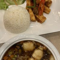 Vegan mushroom soup with tofu, fried tofu with rice  at Salad Factory - Future Park Rangsit in Pathum Thani
