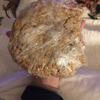 Massive oatmeal sandwich cookie! Weighs probably 3 lbs!  at My Vegan Sweet Tooth in Virginia Beach