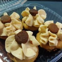 Cupcakes but for dogs at My Vegan Sweet Tooth in Virginia Beach