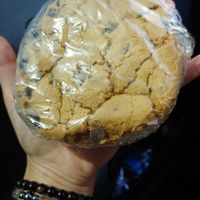 Giant Ice Cream Sandwich at My Vegan Sweet Tooth in Virginia Beach