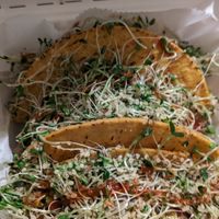 BBQ Tacos with cassava/chickpea shel at Cane & Coconut in Washington