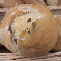  at Panificio del Politeama in Carrara